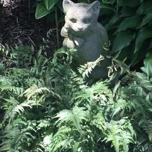 Meet your Posher, Donna